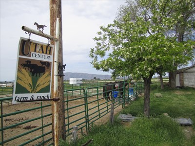 Century Farm and Ranch 