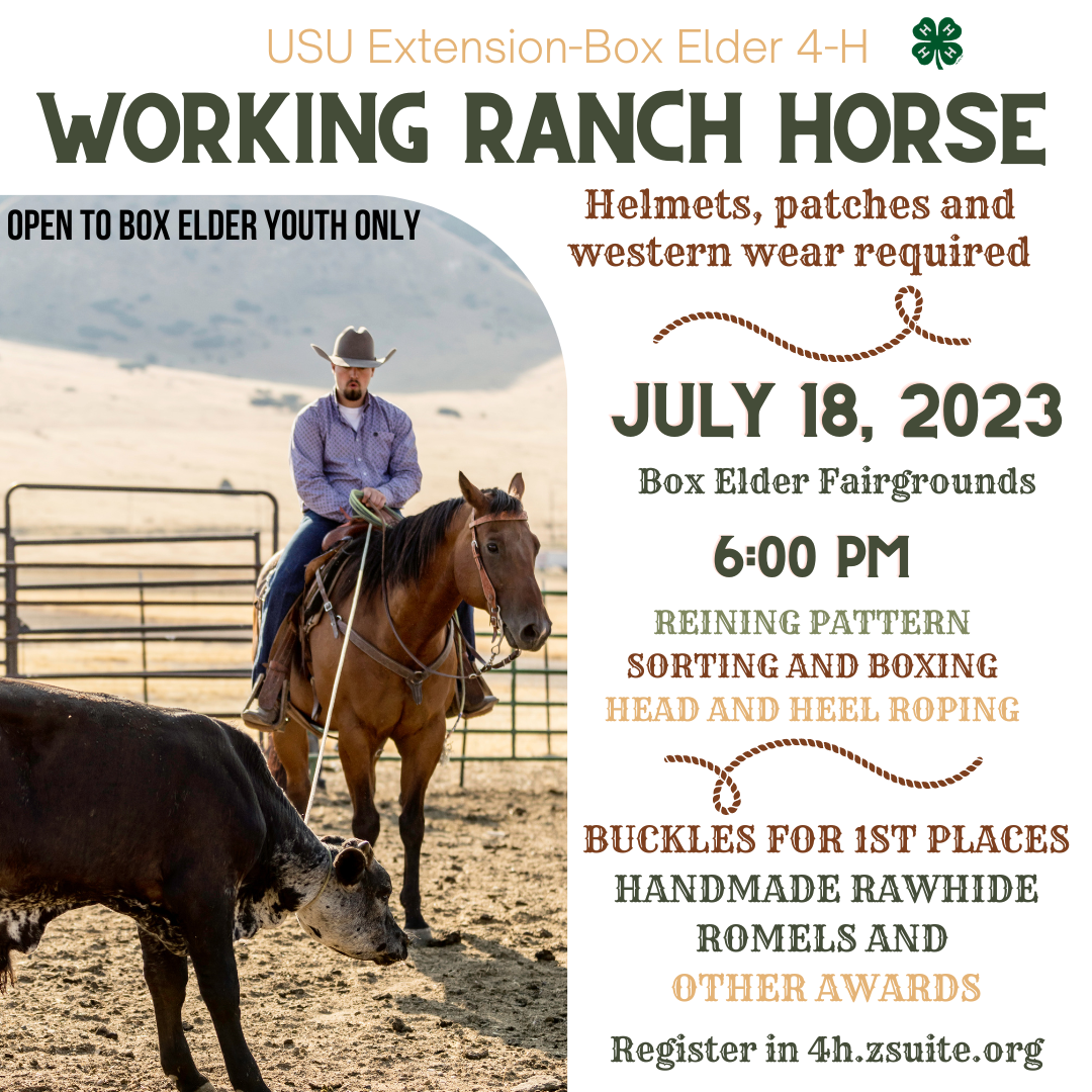 Working Ranch Horse Advertisement