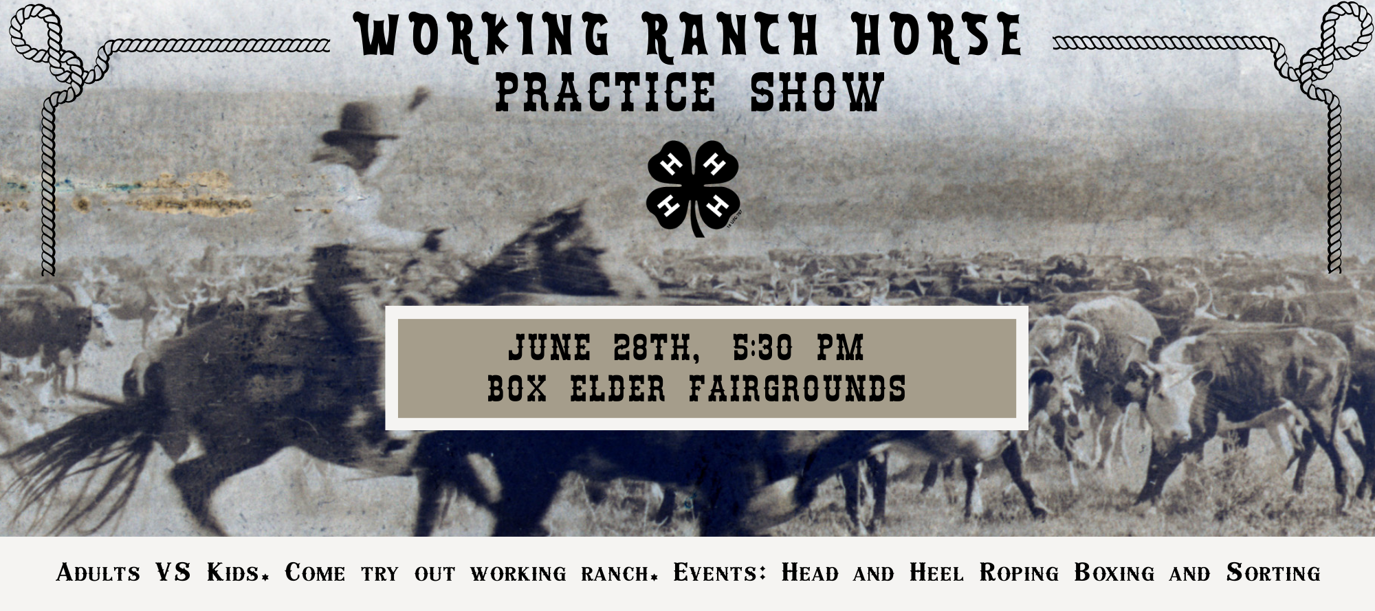 Working Ranch Horse Banner