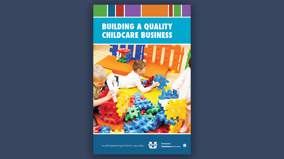 Building a Quality Childcare Business book cover