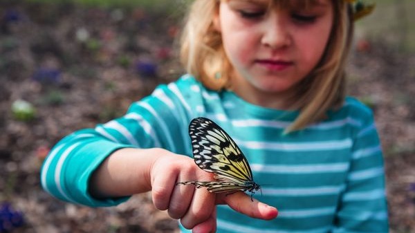 Girl with butterfly on finger
