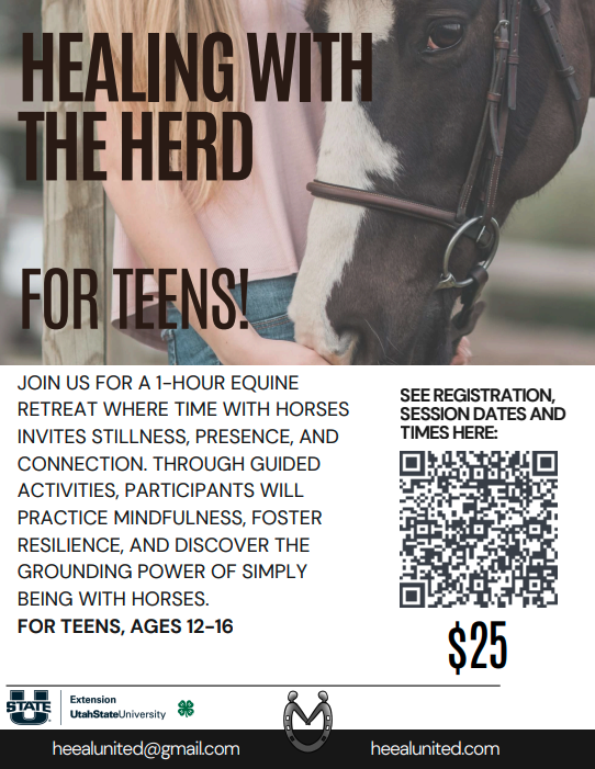 healing herd teens