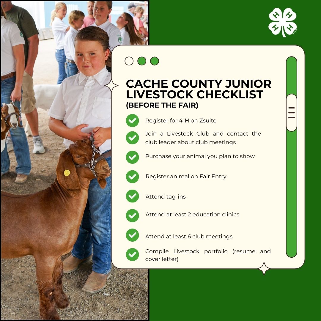 junuor livestock checklist