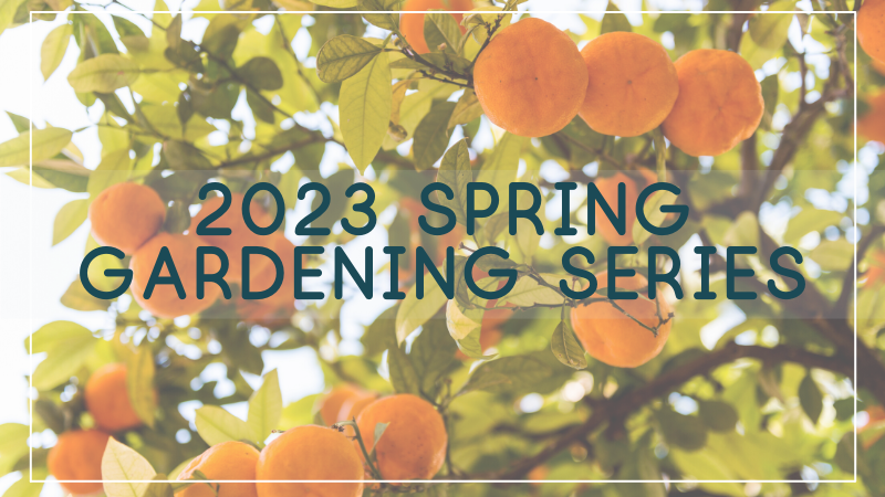 Spring Gardening 2023