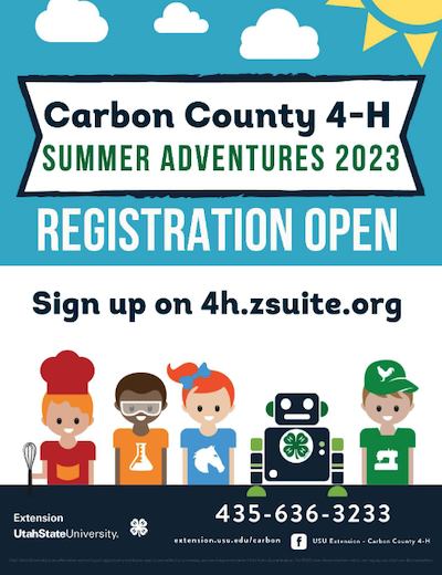 Carbon County 4-H Summer Adventures 2022 Flyer