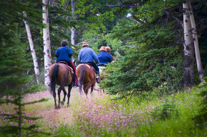 Behind view of many people on horses riding through a forest