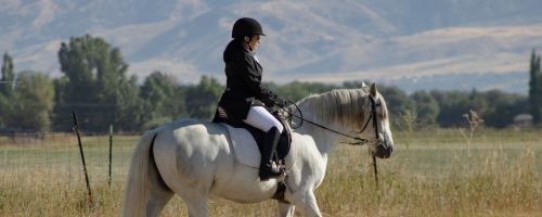 USU's Equine Experience offered programs