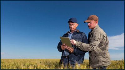Farmers in field