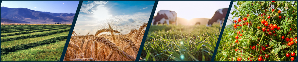 Organic production images