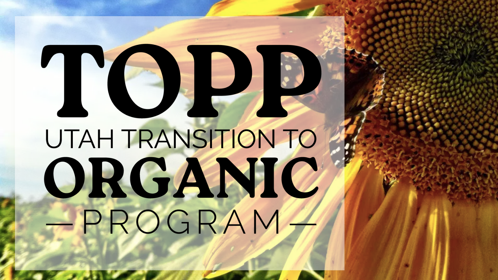 TOPP Logo with sunflower