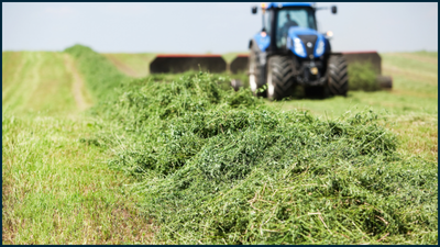 Tractor in Hay field