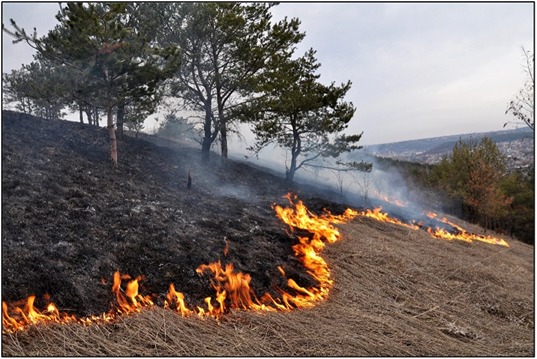 Fire burning in the mountains