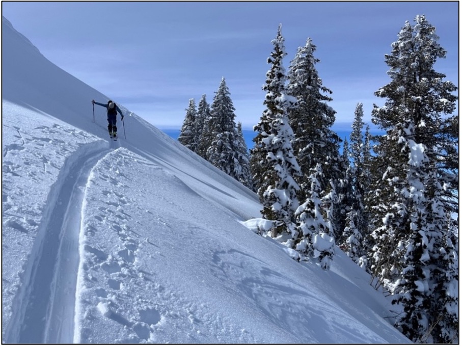 utah skier in the snow