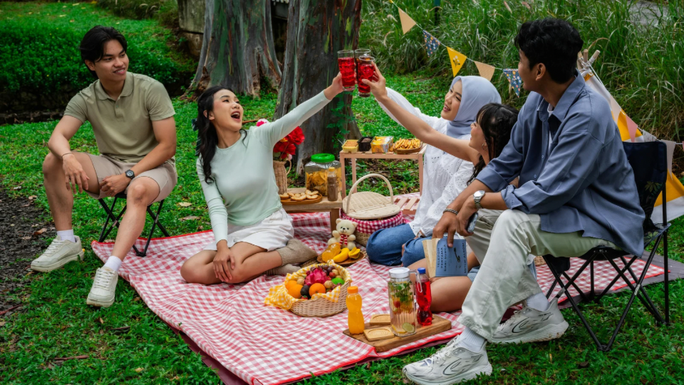 summer picnic with friends
