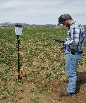 Utilizing soil sensors for irrigation scheduling in a field near Beaver, Utah