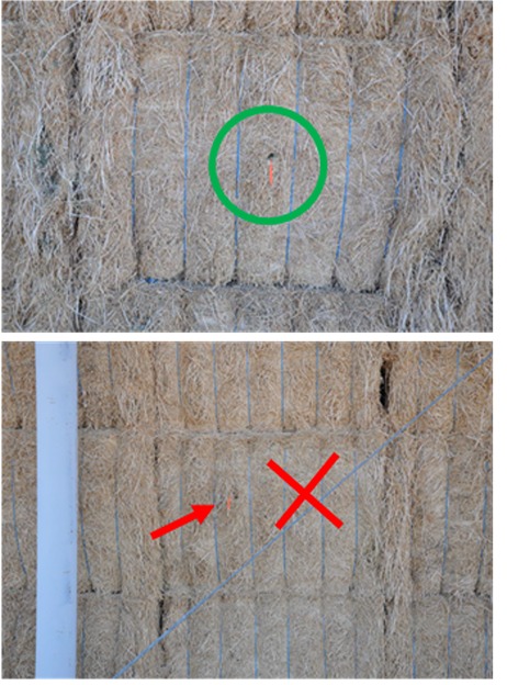 Correct vs incorrect sampling