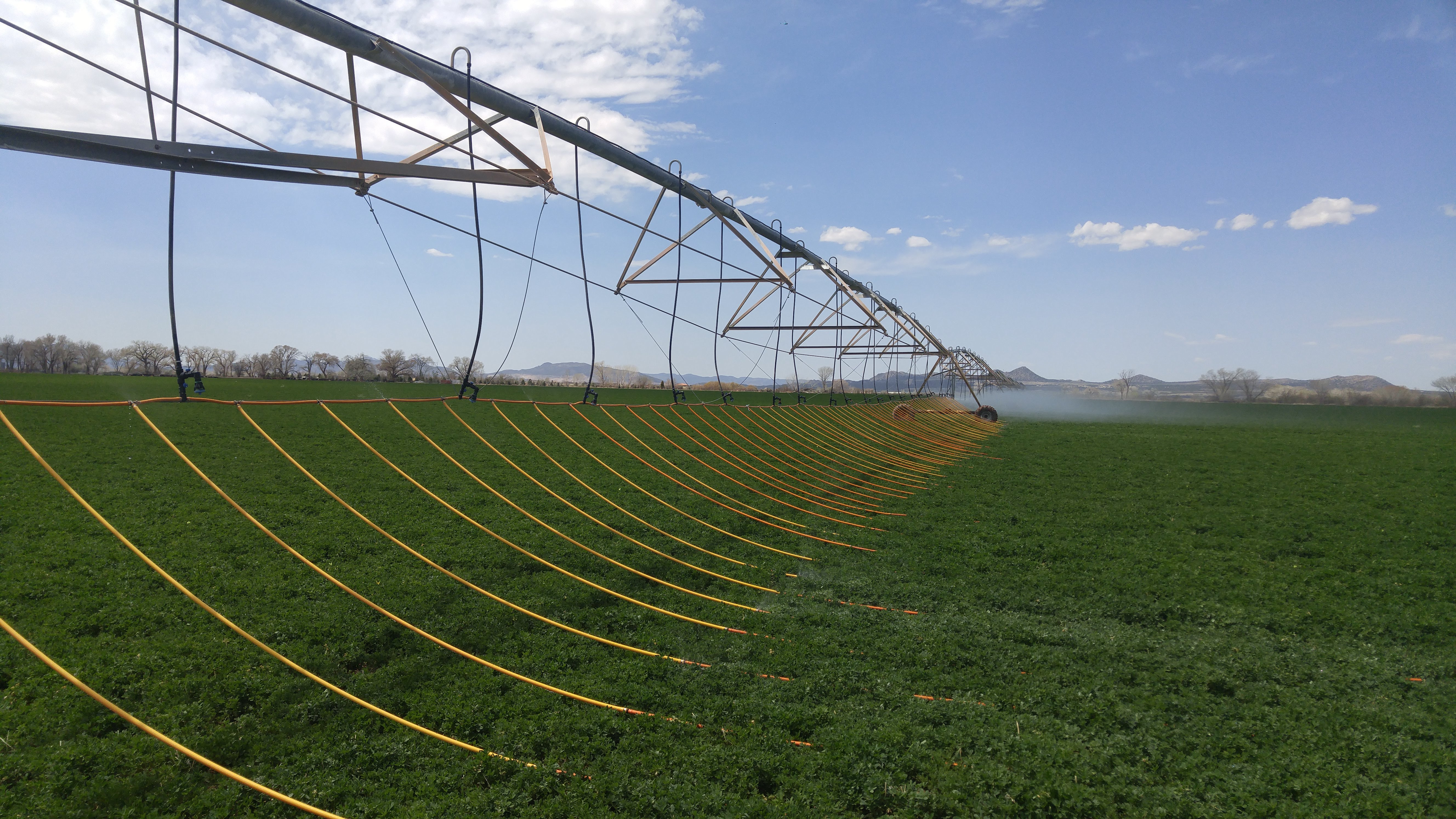 A Dragon-Line® mobile drip irrigation system on a center-pivot