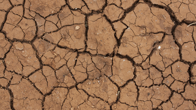 Dried cracked soil