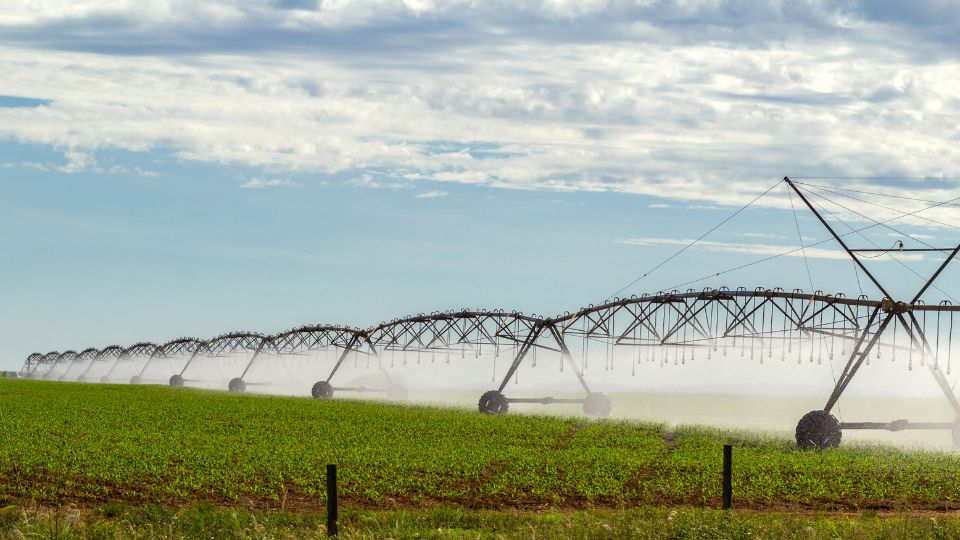 County-Level View of Irrigation Trends in Utah and the West