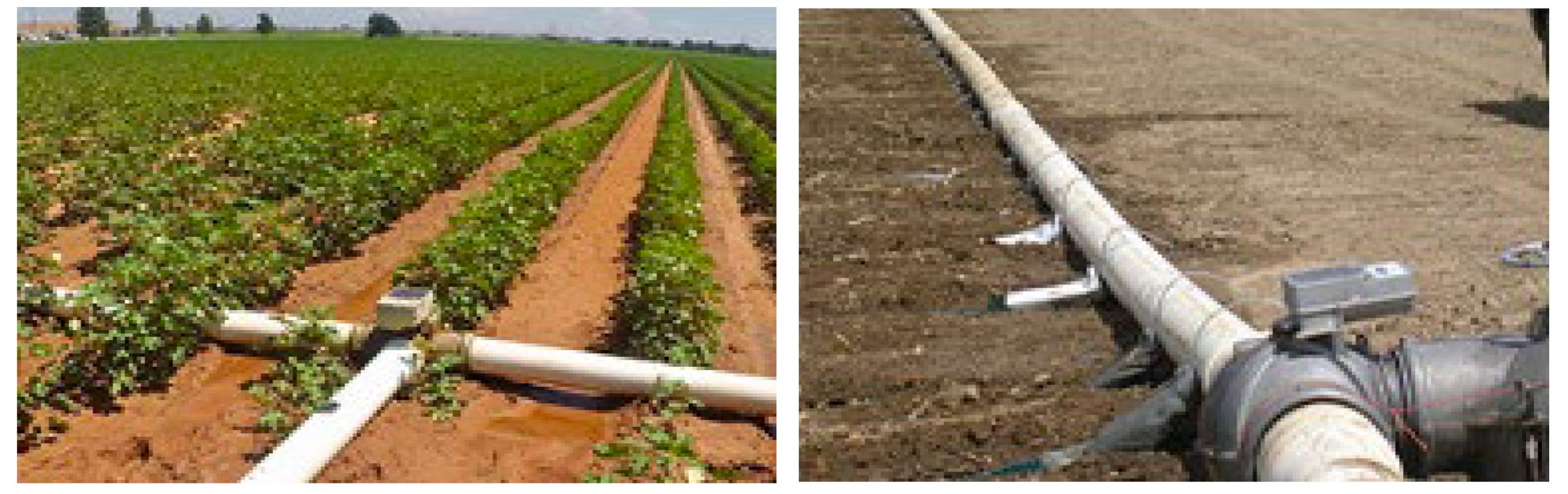 Two portable irrigation systems in a field.
