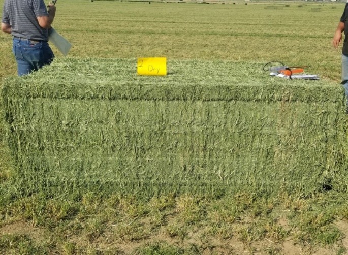 A bale of hay in a field.