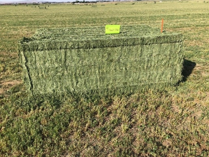 A bale of hay in a field.