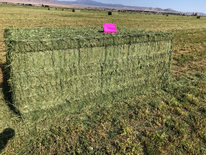 A bale of hay in a field.