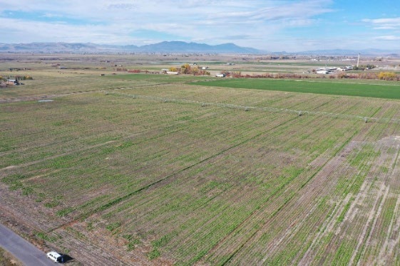 An aerial view of a field with rows of green crops in the Uintah Basin Region