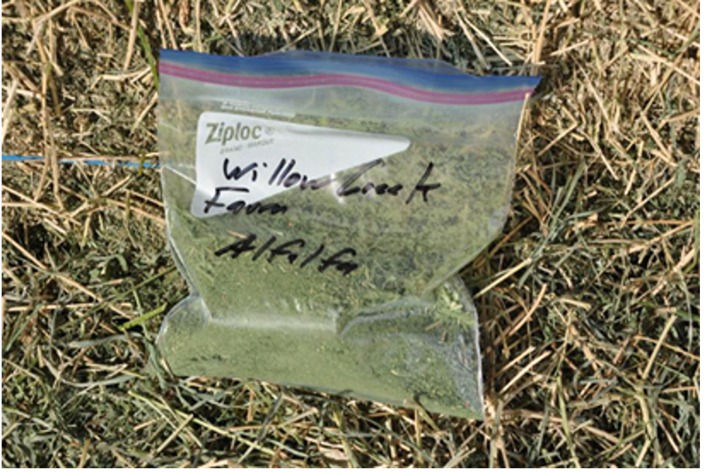 Ground Composite Sample Ready for Certified Lab Analysis