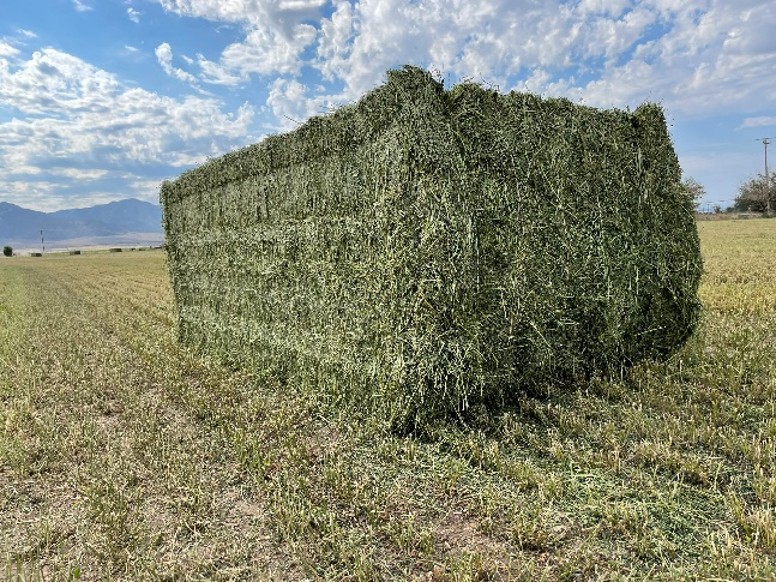 A hay bail in a cut field.