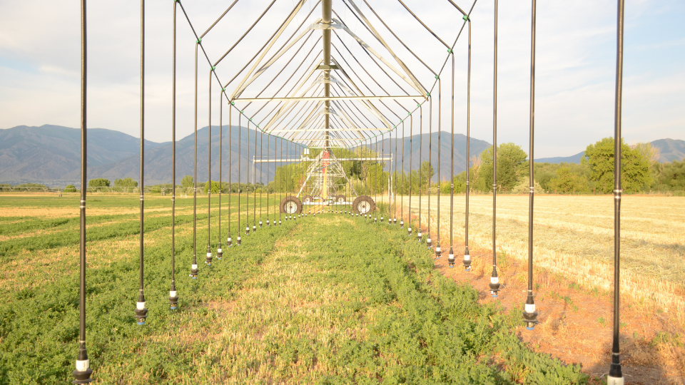Guide to Irrigation Sprinkler Packages for Pivots and Laterals