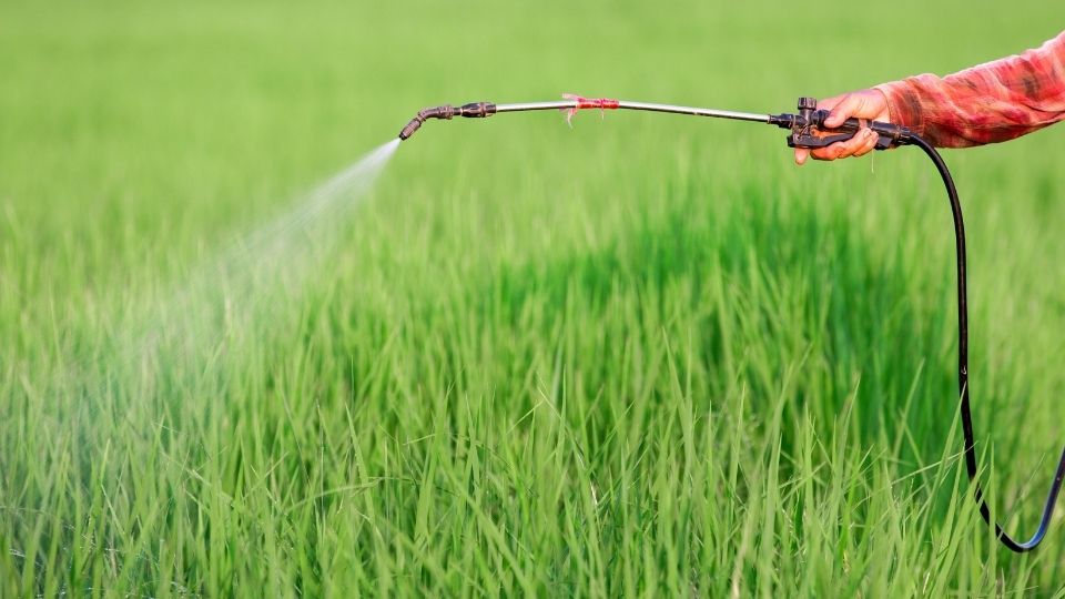 Pesticide Use on Utah's Small Grain Crops