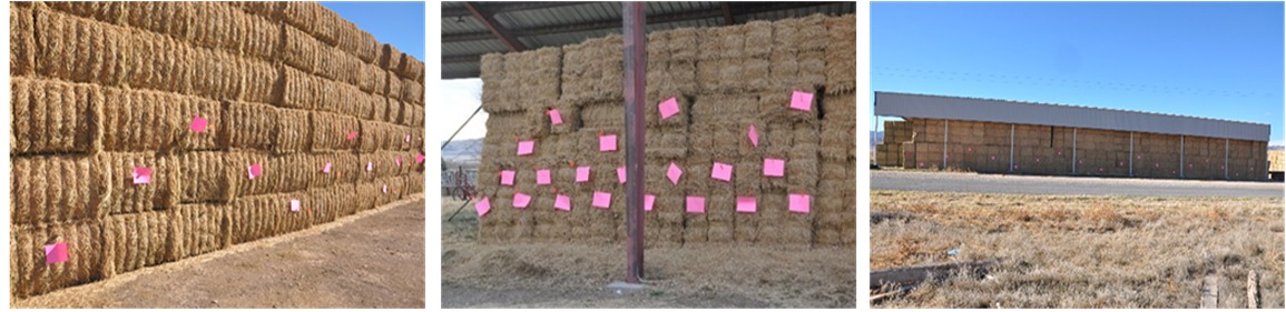 Examples of Random Sampling Patterns for Different Hay Lots