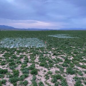 Salinity and SAR Management Calculator