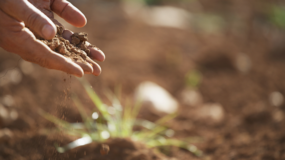 Measuring and Building Soil Health