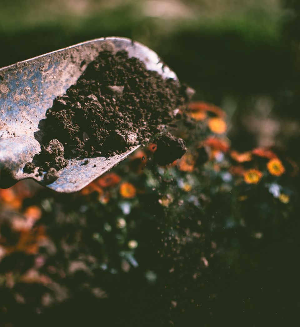 soil on a shovel