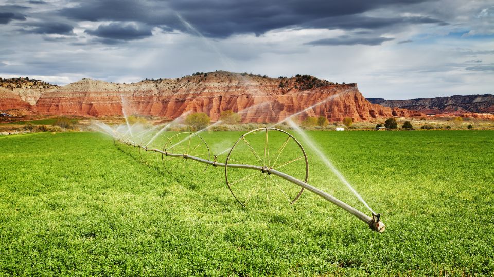 Understanding Irrigation Water Optimization