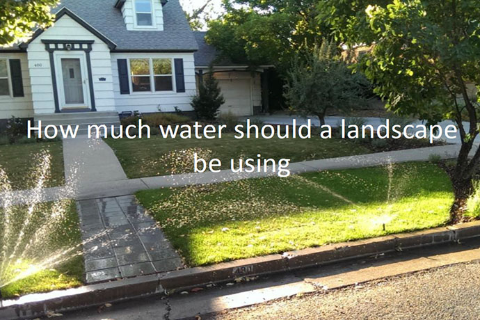 how much water should a landscape be using