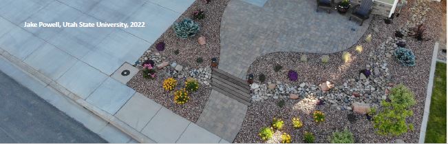 xeriscape front yard with plants and gravel