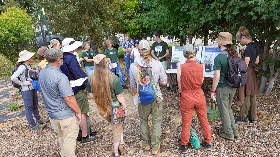 faculty and students present research at field day