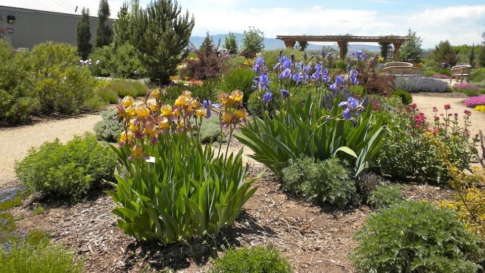 Water-wise Landscape Ideas for Existing Landscapes
