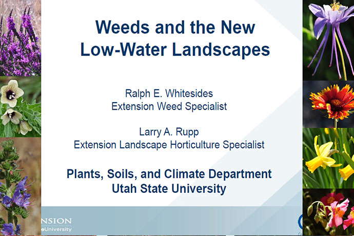 Weeds and the New low-Water Landscapes