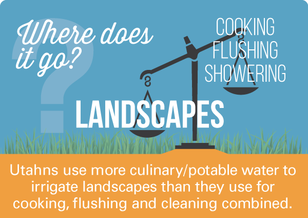 Landscapes. Cooking, flushing, showering. Where does it go?  Utahns use more culinary/potable water to irrigate landscapes than they use  for cooking, flushing and cleaning combined.