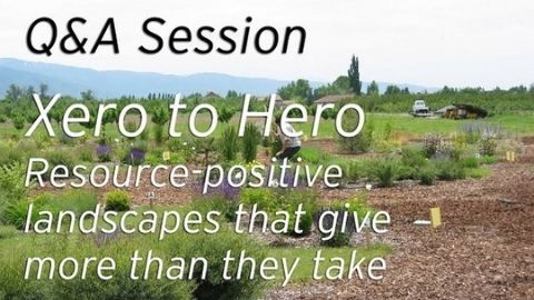 Q & A Session" Xero to Hero Resource-positive landsccapes that give more than they take