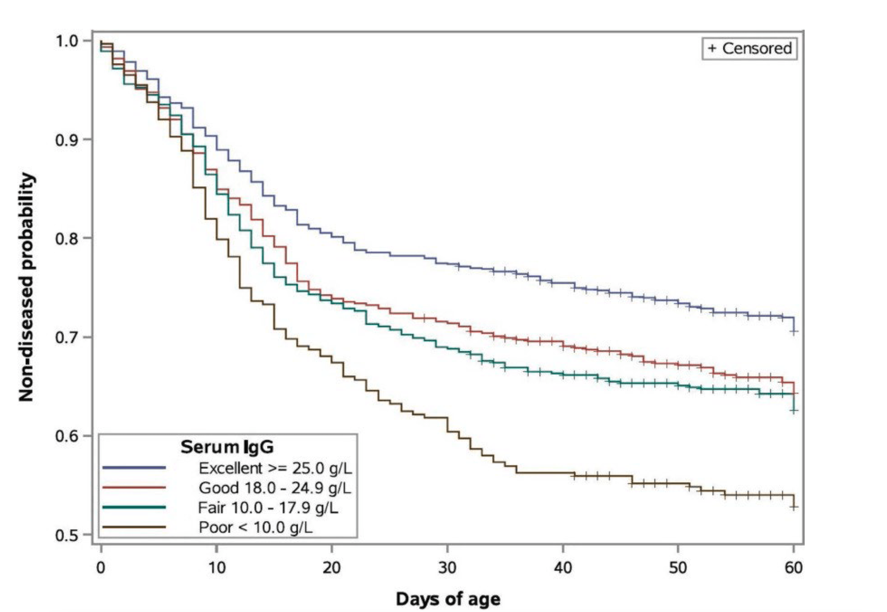 Figure 1. Line graph showing the probability that pre-weaned dairy calves remain disease-free from birth to 60 days of age based on serum IgG concentration. Calves with excellent passive transfer (25.0 g/L or greater) consistently have the highest likelihood of remaining healthy, while calves with poor passive transfer (less than 10.0 g/L) have the lowest. Differences among groups become more pronounced after the first week of life, demonstrating that higher serum IgG levels are associated with reduced disease risk.