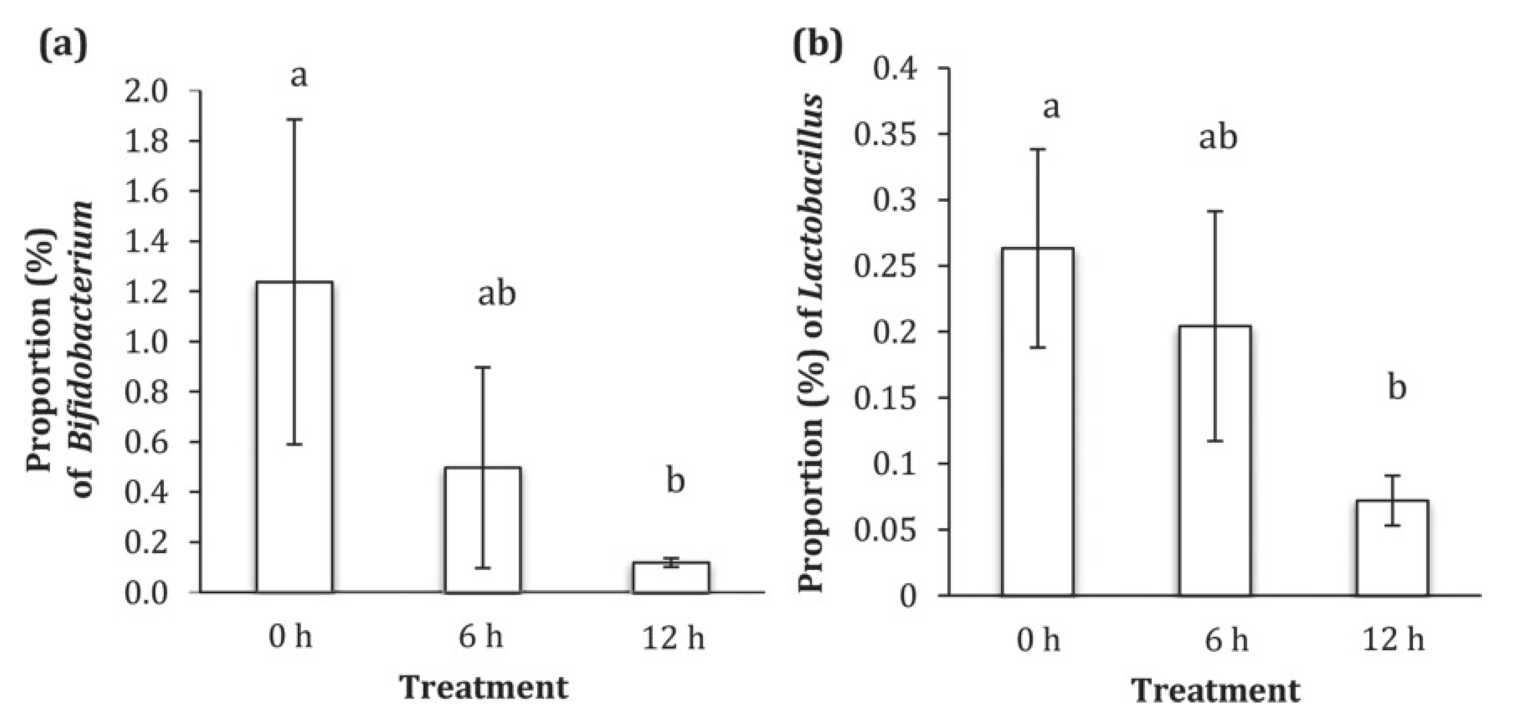 Two bar graphs comparing the proportions of Bifidobacterium and Lactobacillus bacteria in calves fed colostrum at birth, 6 hours after birth, or 12 hours after birth. Calves fed immediately had the highest proportions of both beneficial bacteria, while delayed feeding, especially at 12 hours, resulted in lower proportions.