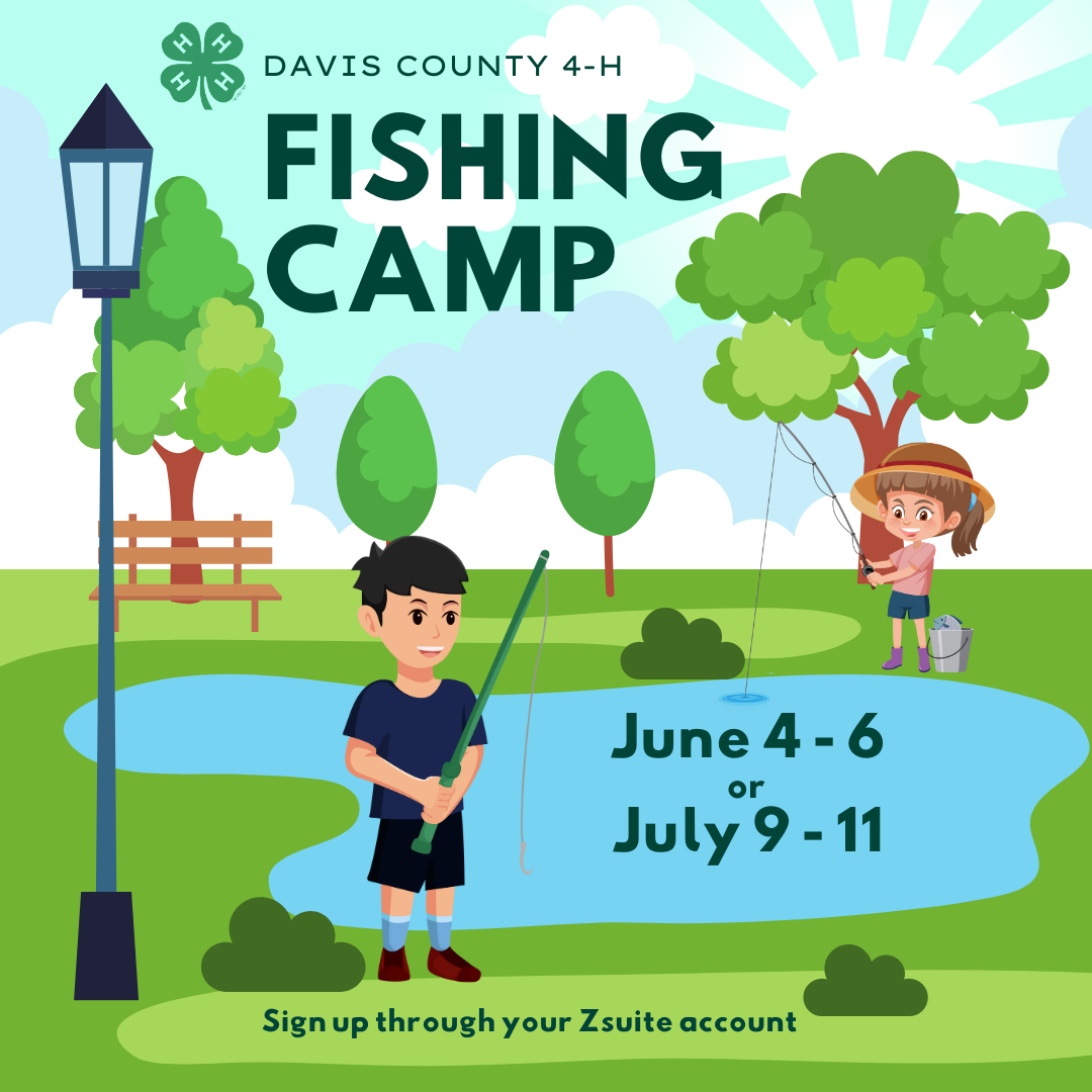 graphic with camp info