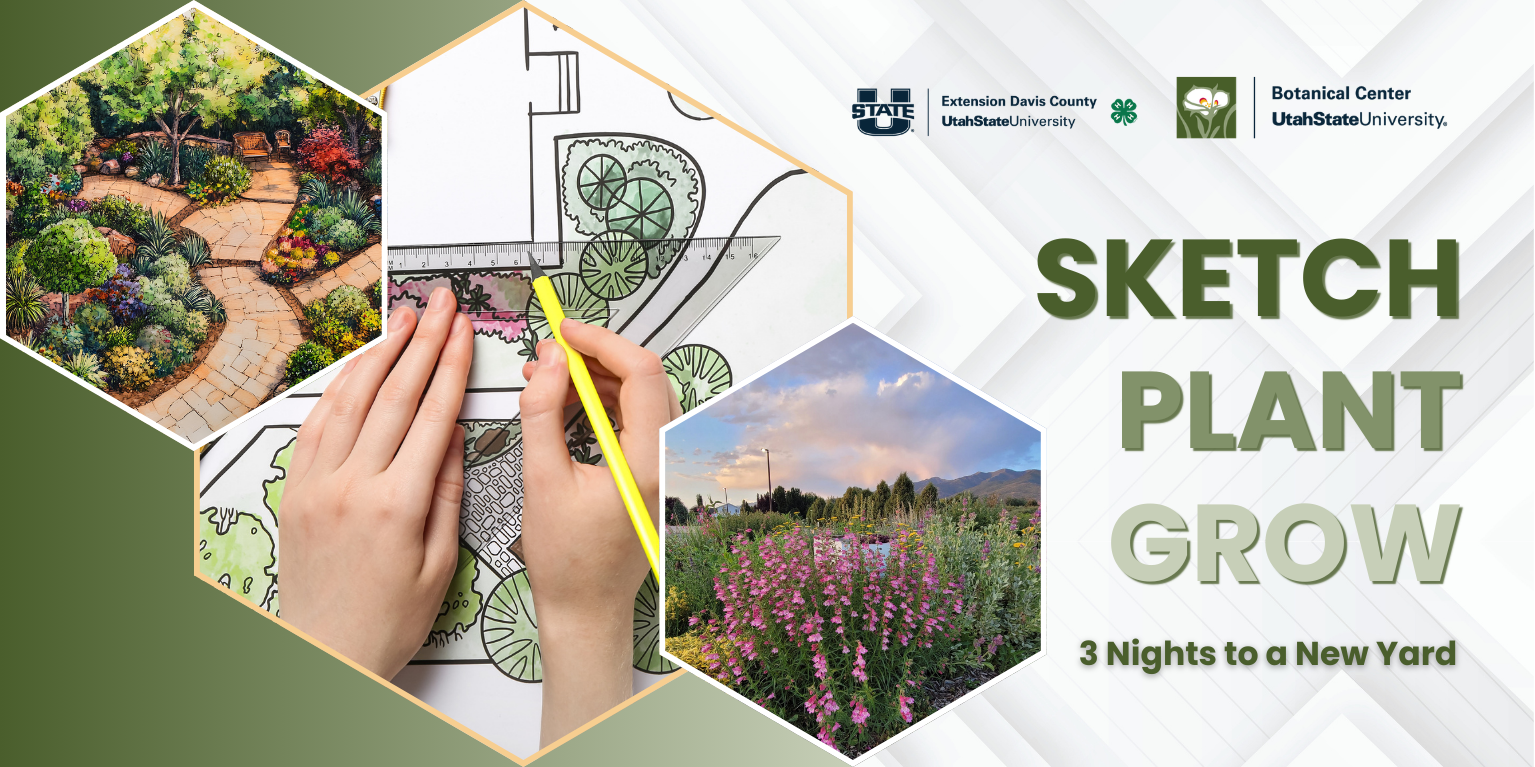 graphic with landscape designs featured and text overlay