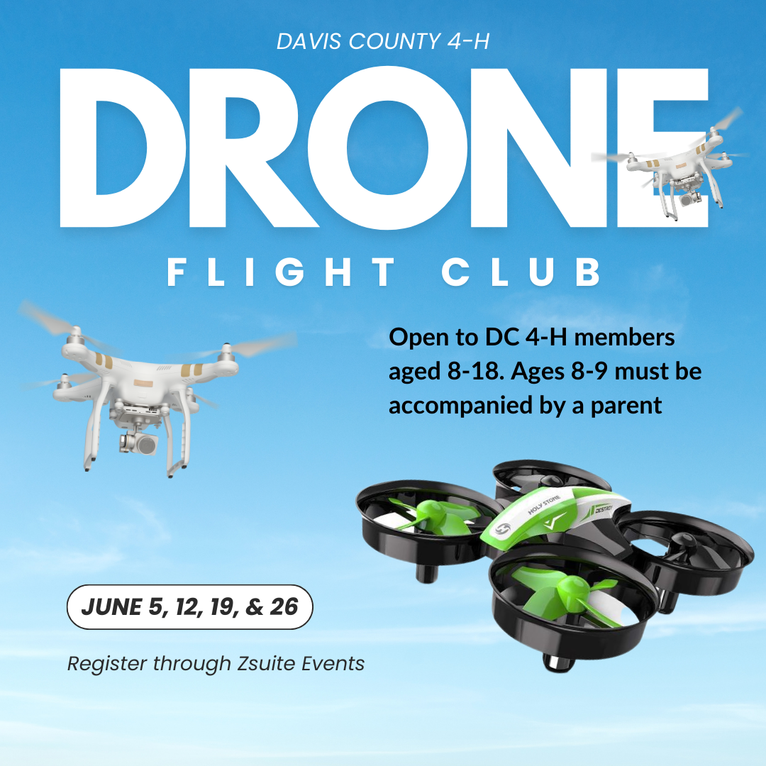 graphic of drones for drone club