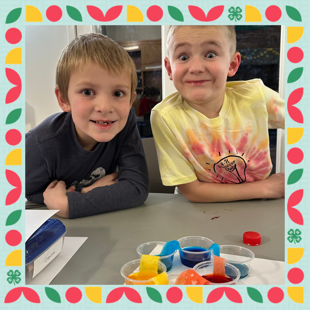 Two eight year oldy boys perform a color mixing experiment with paper towels and colored water.